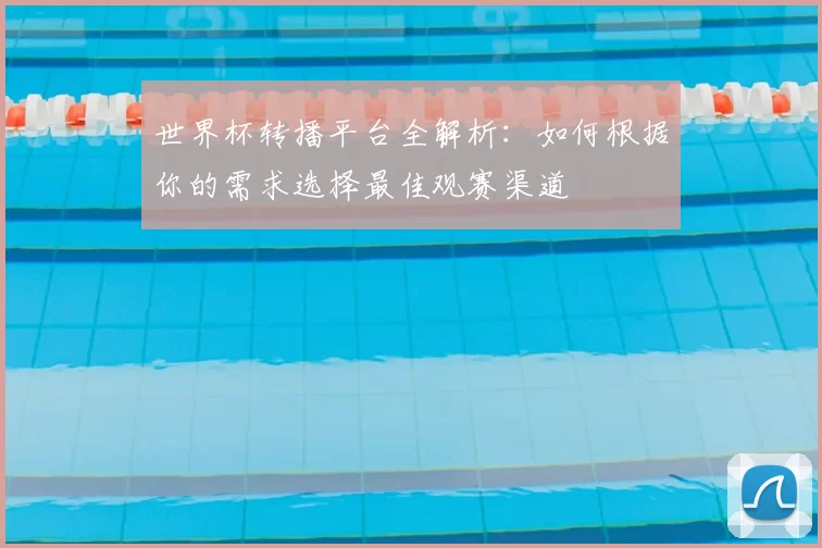 世界杯转播平台全解析：如何根据你的需求选择最佳观赛渠道