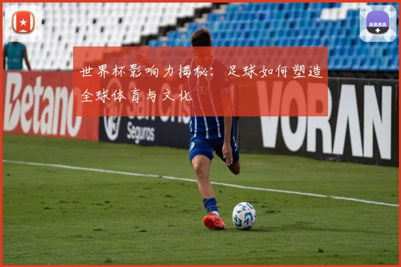 世界杯影响力揭秘：足球如何塑造全球体育与文化