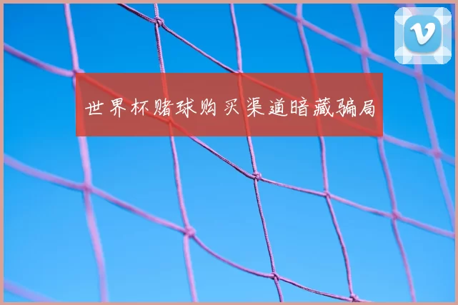 世界杯赌球购买渠道暗藏骗局