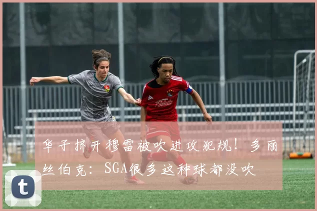 华子挤开穆雷被吹进攻犯规！多丽丝伯克：SGA很多这种球都没吹