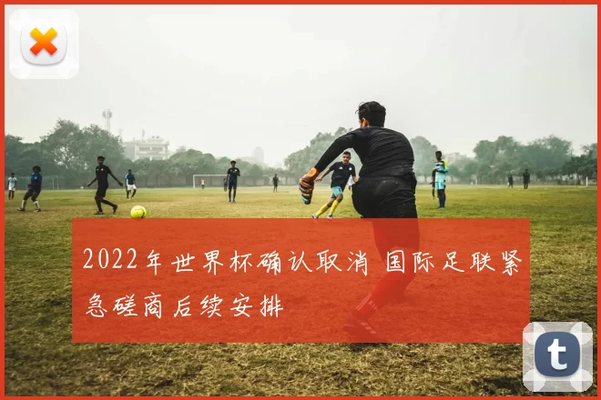 2022年世界杯确认取消 国际足联紧急磋商后续安排
