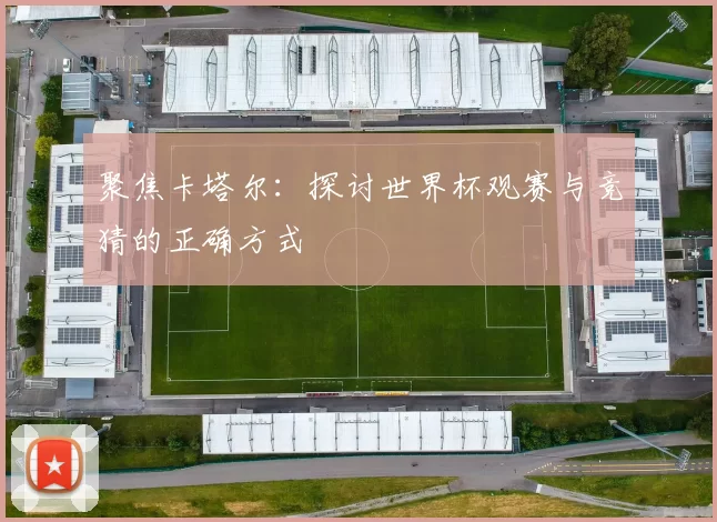 聚焦卡塔尔：探讨世界杯观赛与竞猜的正确方式
