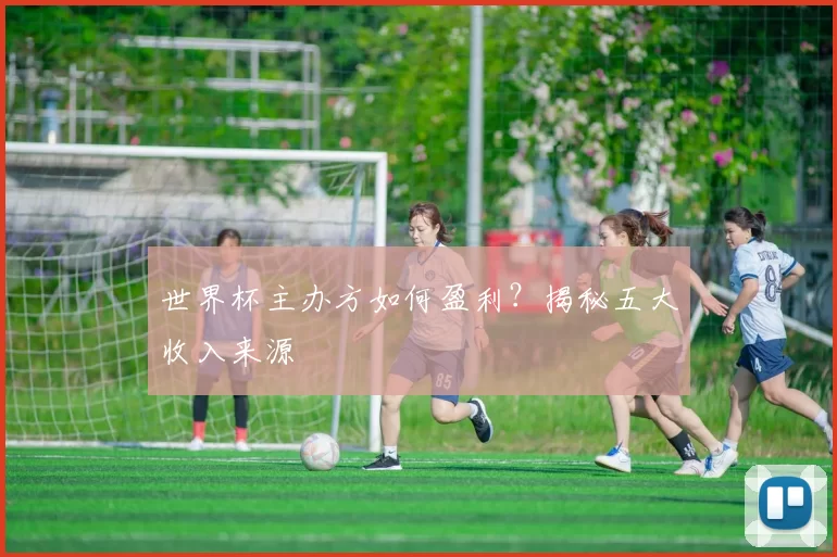 世界杯主办方如何盈利？揭秘五大收入来源