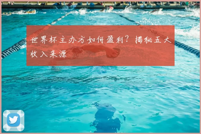 世界杯主办方如何盈利？揭秘五大收入来源