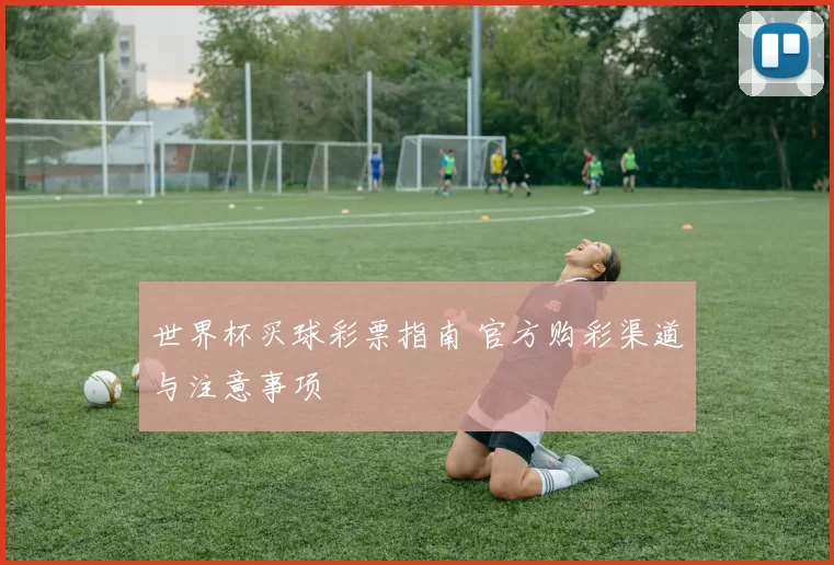世界杯买球彩票指南 官方购彩渠道与注意事项
