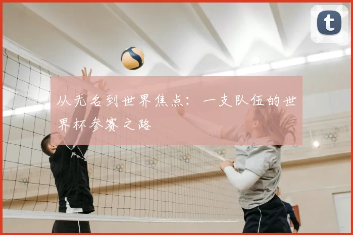 从无名到世界焦点：一支队伍的世界杯参赛之路
