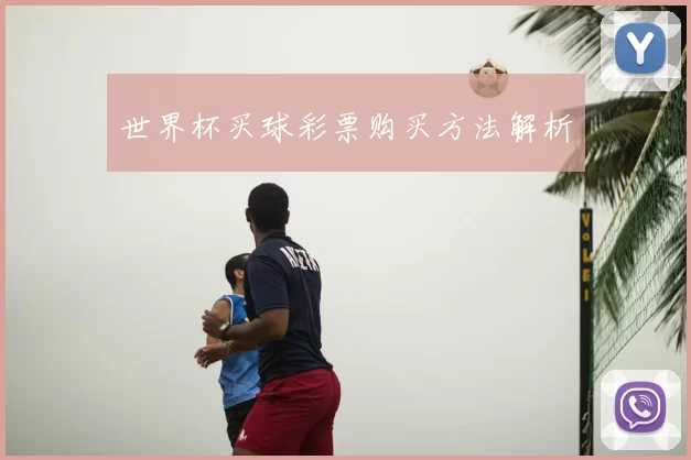 世界杯买球彩票购买方法解析