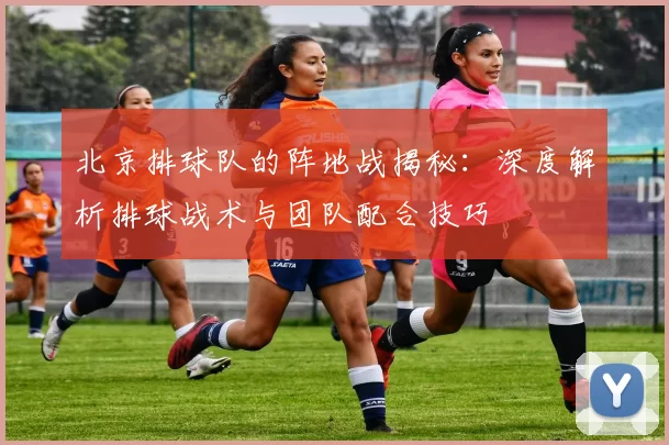 北京排球队的阵地战揭秘:深度解析排球战术与团队配合技巧