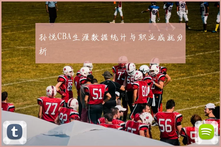 孙悦CBA生涯数据统计与职业成就分析